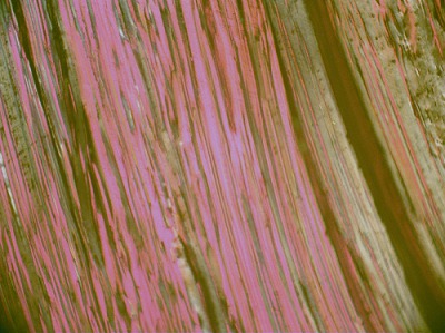 中鋼集團(tuán)鞍山熱能研究院有限公司